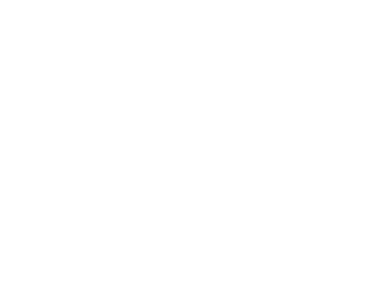 Seasonal Shine Christmas Lights